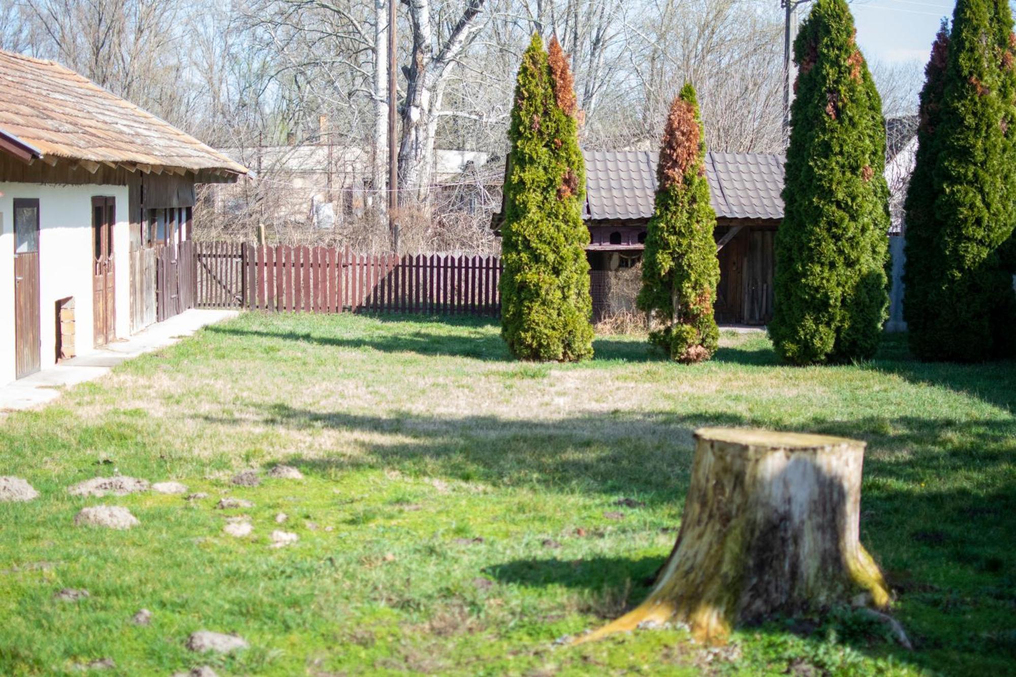 Villa Flora Kiskunmajsa Exteriör bild